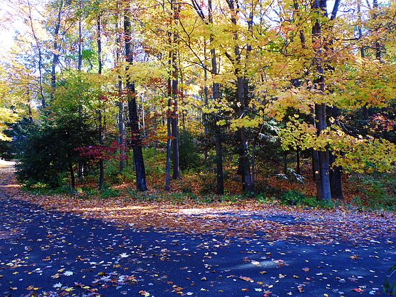 Fall Driveway view.
