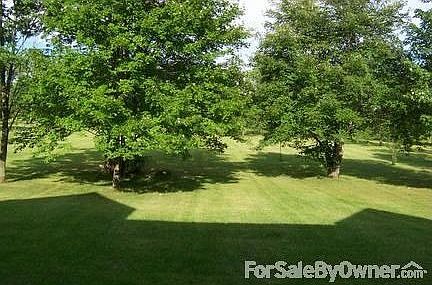 Front Yard Facing Road