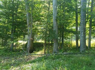 12592 Fern Pl, Charlevoix, MI 49720