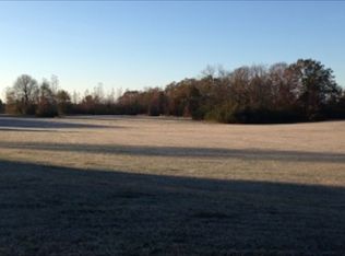 81 Brown Rd, Danville, AL 35619