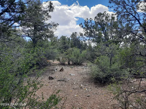 LOT 236 Forest Ln, Seligman, AZ 86337