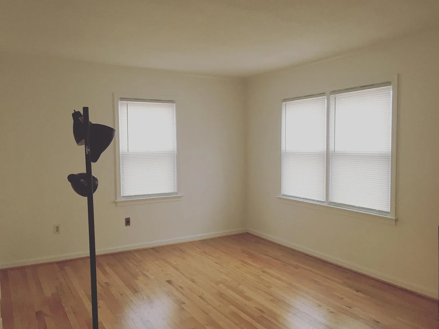 3 bed, 1170 sqft, $2,600 — Photo 4