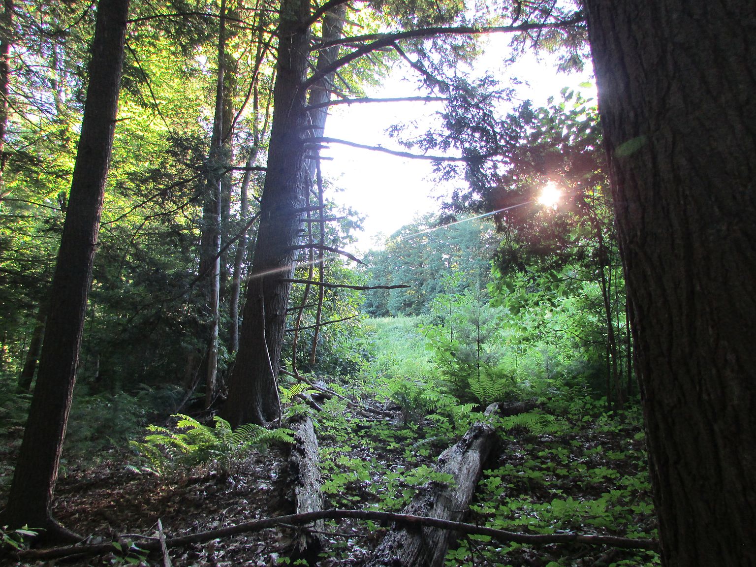 Grist Mill Rd, Rosendale, NY 12486 Zillow