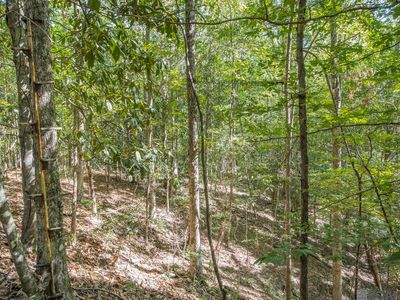 TRACT Rogers Rd #A, Saint Francisville, LA, 70775