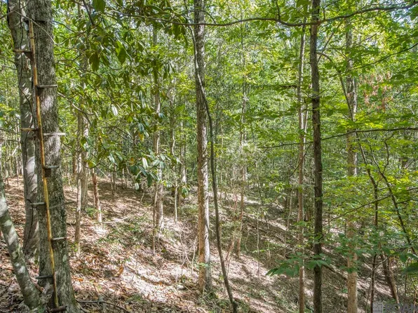 TRACT Rogers Rd #A, Saint Francisville, LA 70775