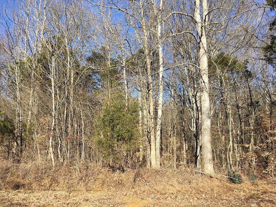 2nd image of Spring Ln