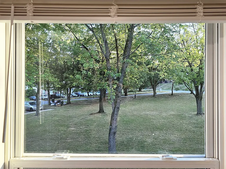 View from living room window