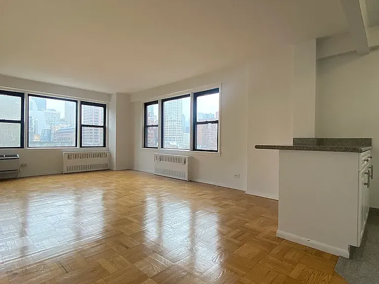 245 E 24th St #11L — Photo 4