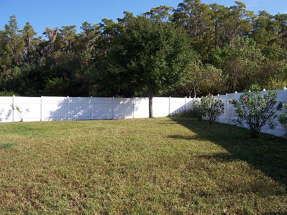 Large Backyard