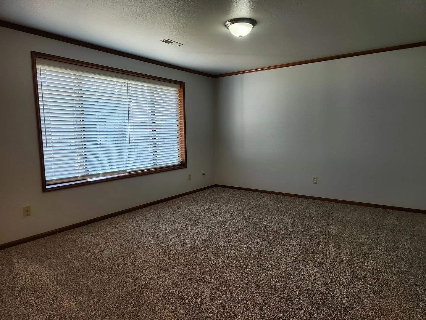 219 Judson Street — Photo 4