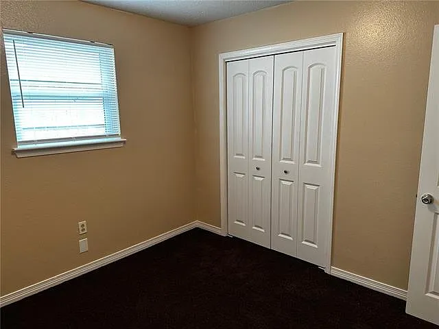 5300 Alpaca Dr — Photo 9