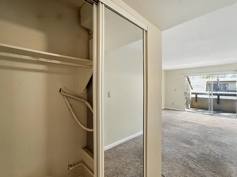 Living Room Closet