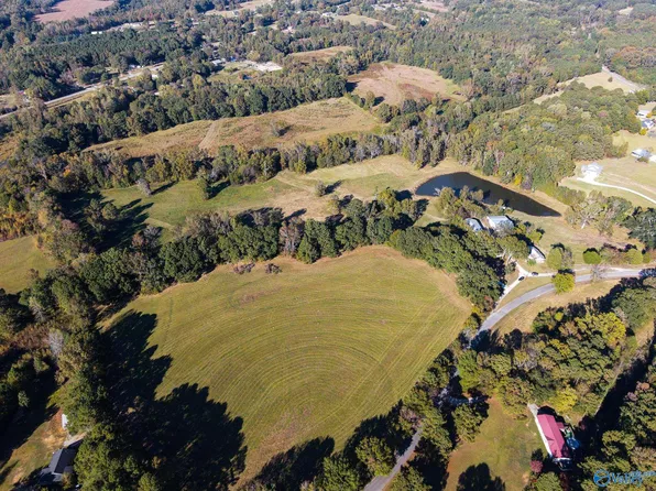 1387 County Road 317, Trinity, AL 35673