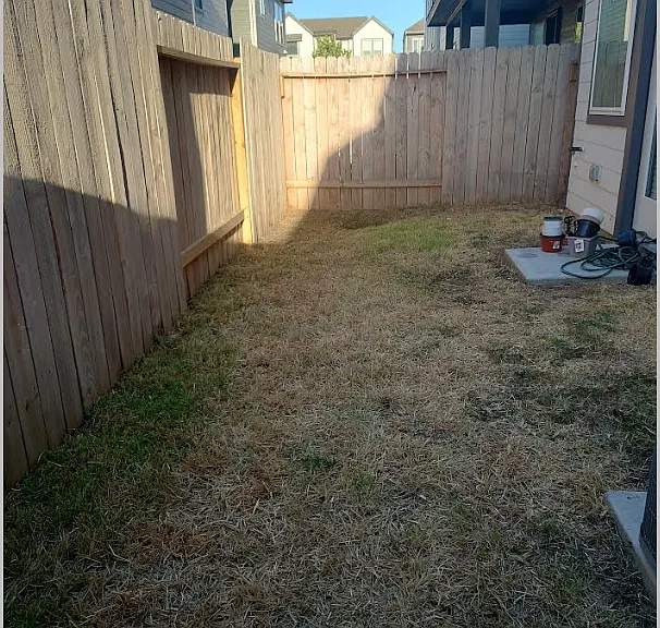Backyard