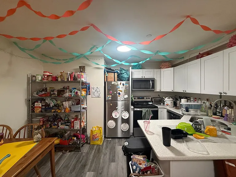 Newly Renovated Temple Apartment — Photo 11