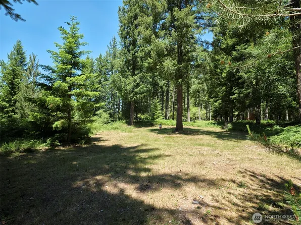 0 Loowit Lane, Cougar, WA 98616