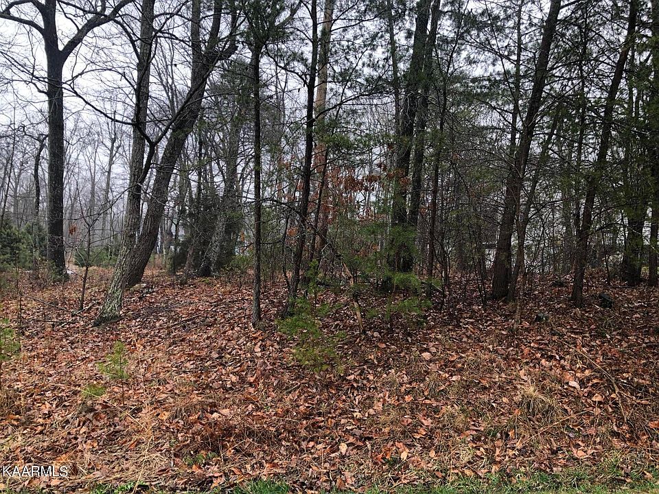 1st image of 20 Bent Oak Ln