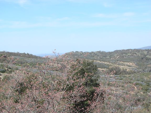 5th image of 4025 Eagle Peak Road