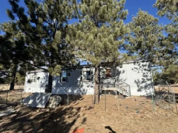 420 Arapahoe Dr, Florissant, CO 80816