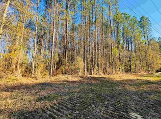 21 Highway 449, Pine Grove, LA 70453