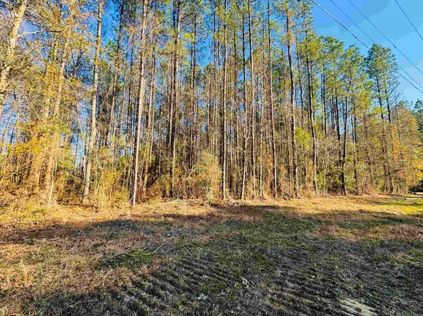 21 Highway 449, Pine Grove, LA 70453