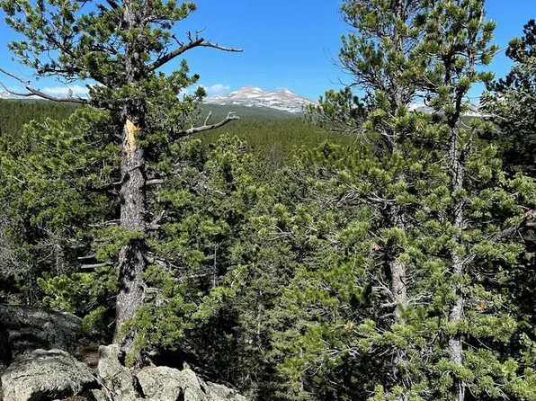 0 Pine Cone Cir Lot 46, Allenspark, CO 80540