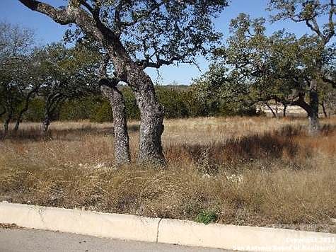 2nd image of 119 Woodland Blvd