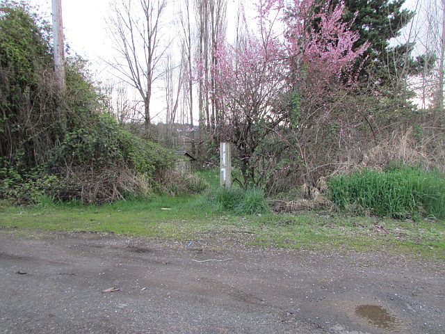 2nd image of 117 Bunker Creek Hwy