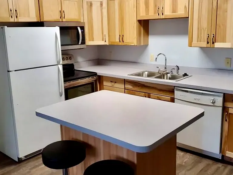 1010 West Springfield Avenue - Bailey 3BR — Photo 3