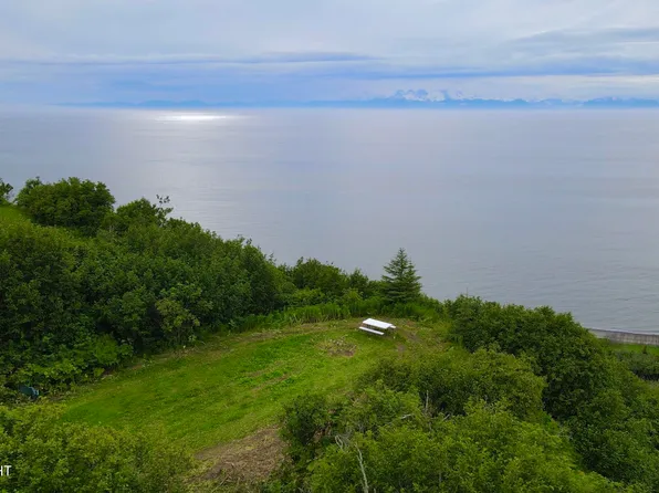 0 Shorebird Ln, Anchor Pt, AK 99556