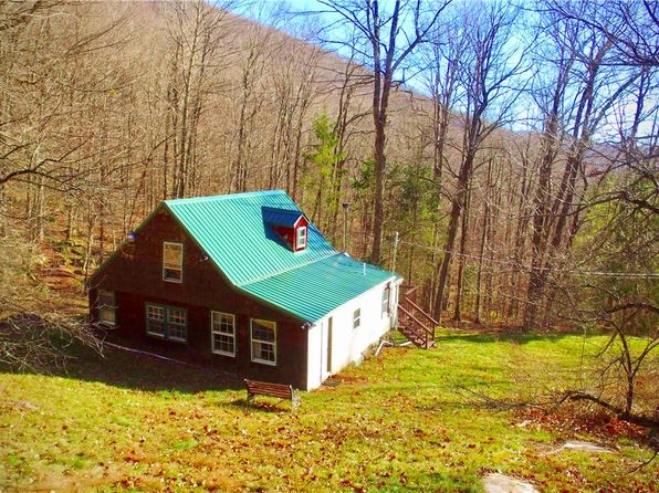 339 Mountain Lake Rd, Andes, NY 13731