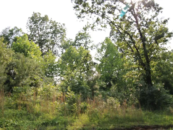 0 Paddle Wheel Rd, Gilbertsville, KY 42044