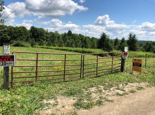 8654 Cream Hill Rd, Arkport, NY 14807
