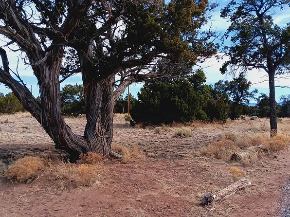 77 Squaw Pass, Quemado, NM 87829