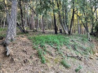 356 Snowberry Ct, Murphys, CA 95247