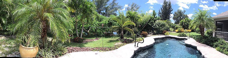 Pool and landscaping