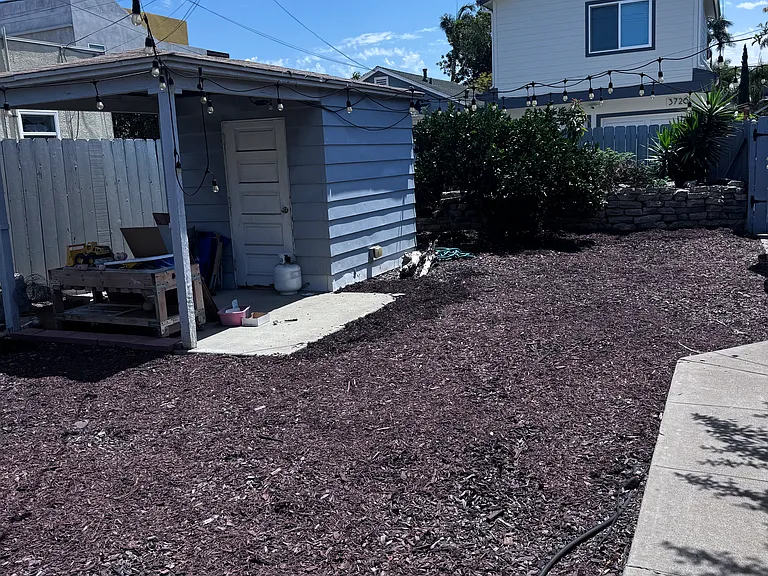 Backyard has hanging lights and this storage shed with a small covered patio area.