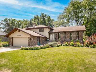 1133 Central Ave, Downers Grove, IL, 60516