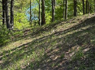 Sadie Ln, Bear Lake, MI 49614