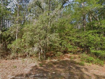 9572 N Sandree Dr #17, Dunnellon, FL, 34434