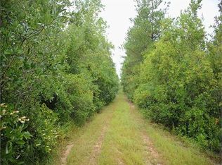 2355 Beattys Bridge Rd, Atkinson, NC 28421