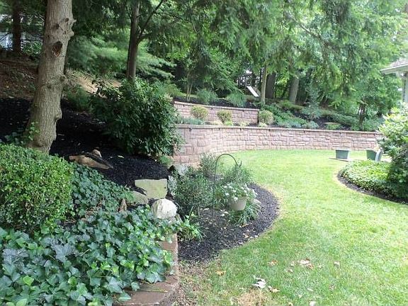 Rear yard