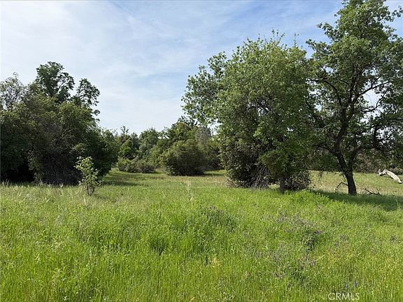 3rd image of Mountain Springs Rd