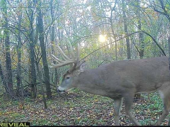 2nd image of XXX State Rd 93