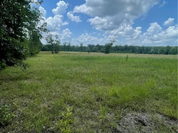 2704 Government Rd, Chestnut, LA 71070