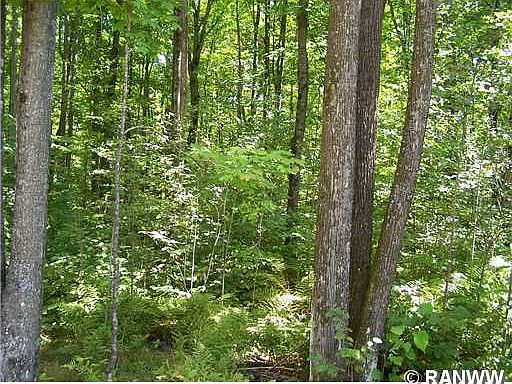 1st image of 1 W Hemlock Haven Road