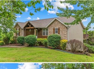323 Skyview Dr, Branson, MO 65616