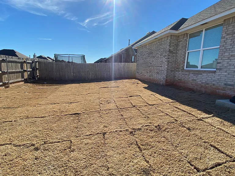 Fenced Back Yard