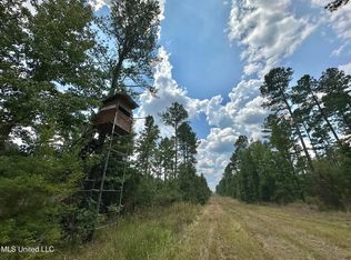 2 Prentiss Crump Rd, Terry, MS 39170