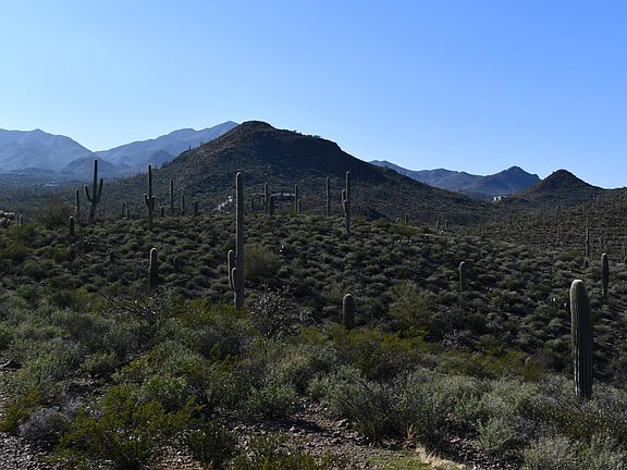 5th image of 5909 W El Camino Del Cerro